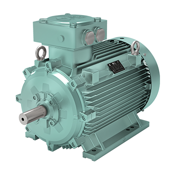Moteurs OMEX Low Voltage